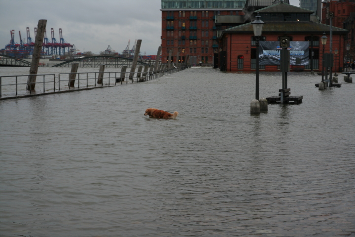 Skaliertes Bild IMG_2875.JPG 