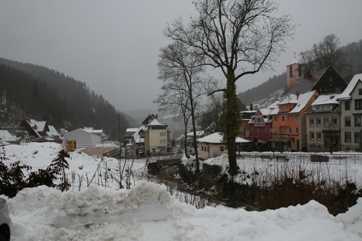 Skaliertes Bild IMG_3319.JPG 