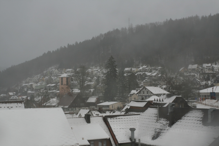 Skaliertes Bild IMG_3405.JPG 