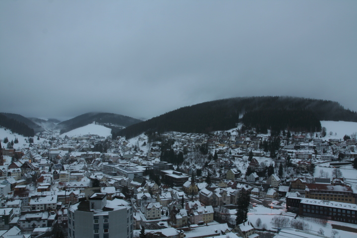 Skaliertes Bild IMG_3426.JPG 