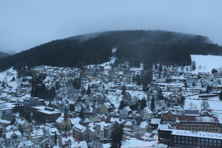 Skaliertes Bild IMG_3432.JPG 