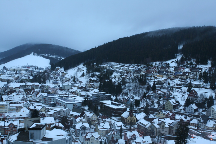 Skaliertes Bild IMG_3439.JPG 