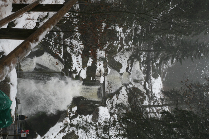 Skaliertes Bild IMG_3380.JPG 