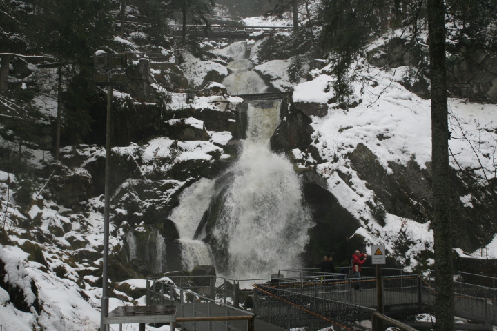 Skaliertes Bild IMG_3382.JPG 