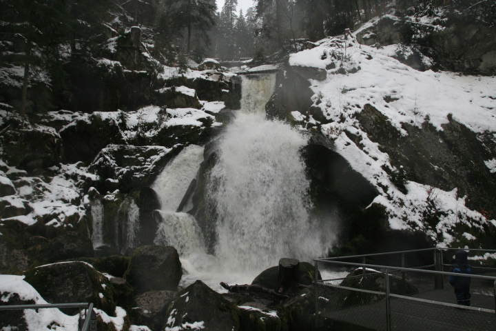 Skaliertes Bild IMG_3388.JPG 