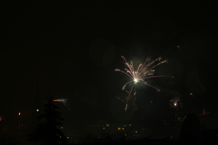 Skaliertes Bild IMG_3495.JPG 