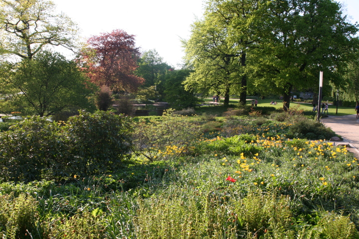 Skaliertes Bild IMG_5669.JPG 