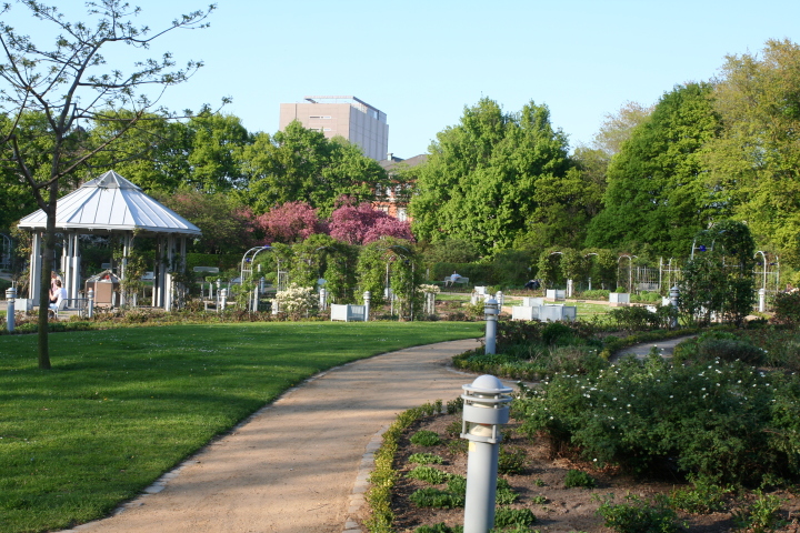 Skaliertes Bild IMG_5673.JPG 