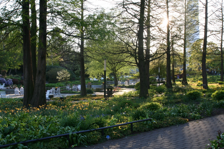 Skaliertes Bild IMG_5811.JPG 