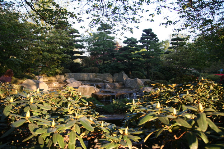 Skaliertes Bild IMG_5873.JPG 