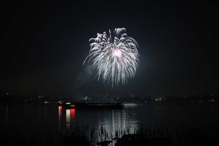 Skaliertes Bild IMG_1421.JPG 