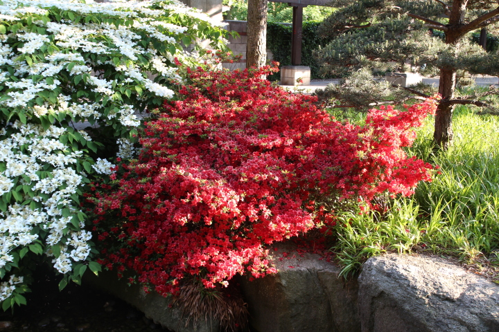 Skaliertes Bild IMG_1731.JPG 