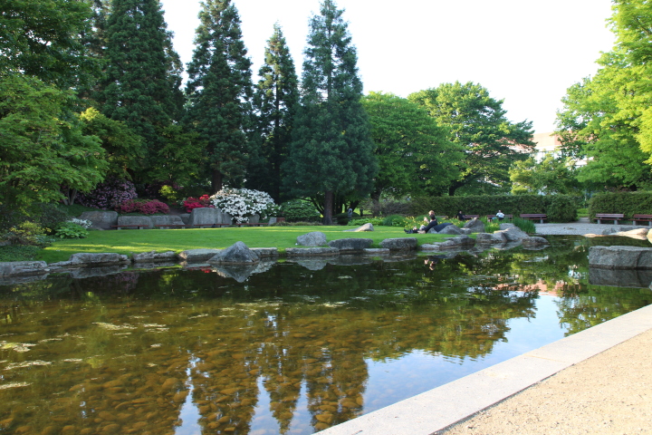 Skaliertes Bild IMG_1754.JPG 