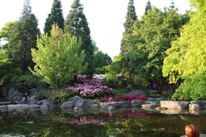 Skaliertes Bild IMG_1760.JPG 