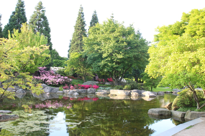 Skaliertes Bild IMG_1771.JPG 