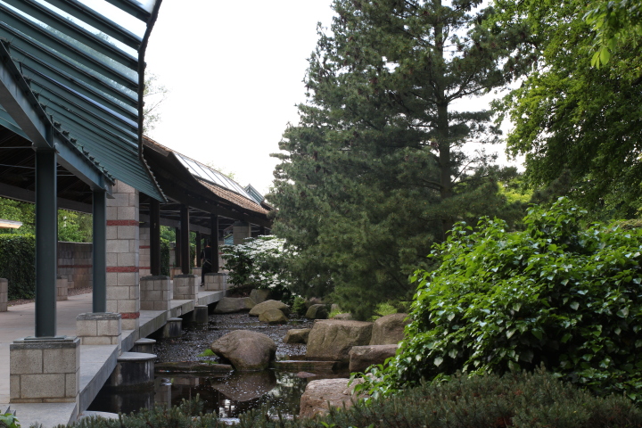 Skaliertes Bild IMG_1817.JPG 