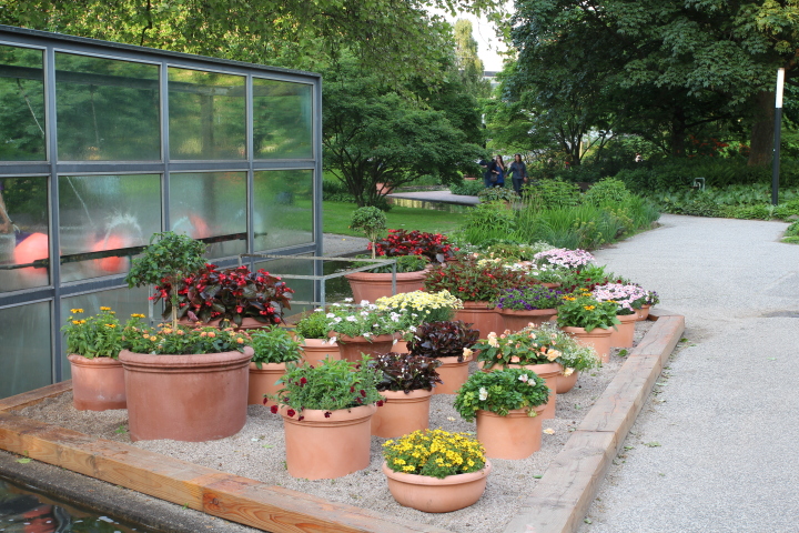 Skaliertes Bild IMG_1907.JPG 