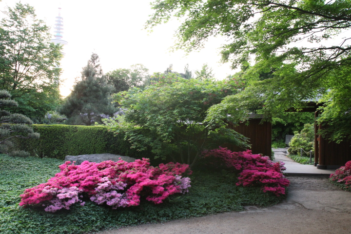 Skaliertes Bild IMG_2032.JPG 