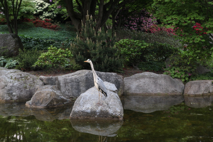 Skaliertes Bild IMG_2049.JPG 