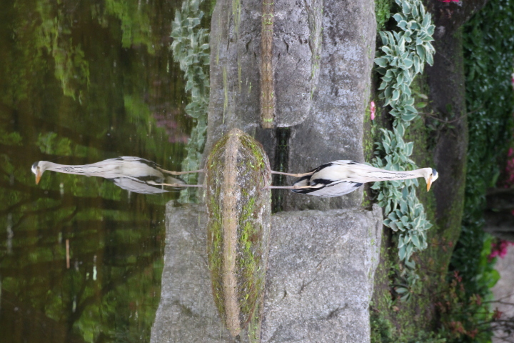 Skaliertes Bild IMG_2062.JPG 