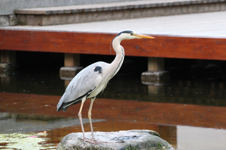 Skaliertes Bild IMG_2083.JPG 