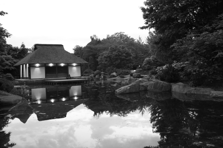 Skaliertes Bild IMG_2124.JPG 